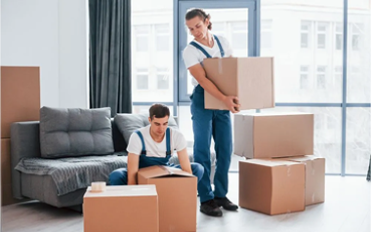 Local & Household Moving Services