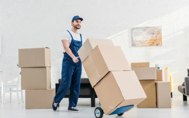 Long Distance & State-to-State Moving